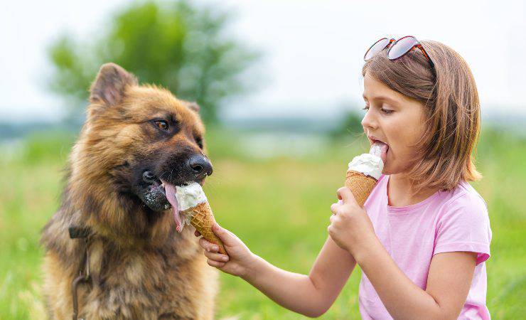 cane lecca gelato