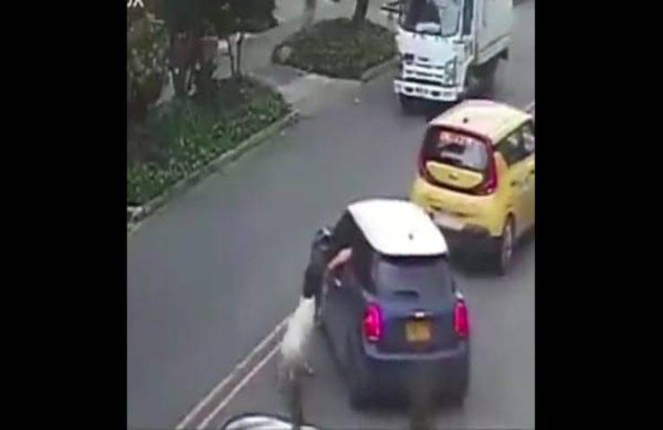 Uomo trascina il cane dal finestrino della sua auto per il collo