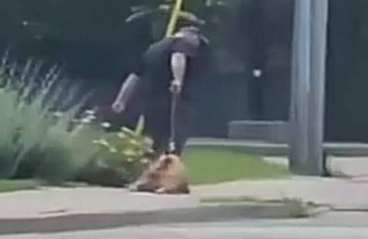 Trascina il cane in strada prendendolo a calci e pugni perchè non voleva camminare