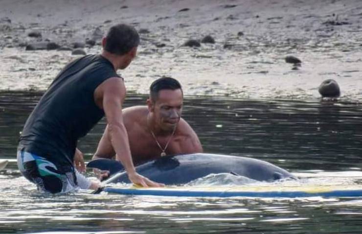 Surfisti sentono urlare e si precipitano in suo aiuto