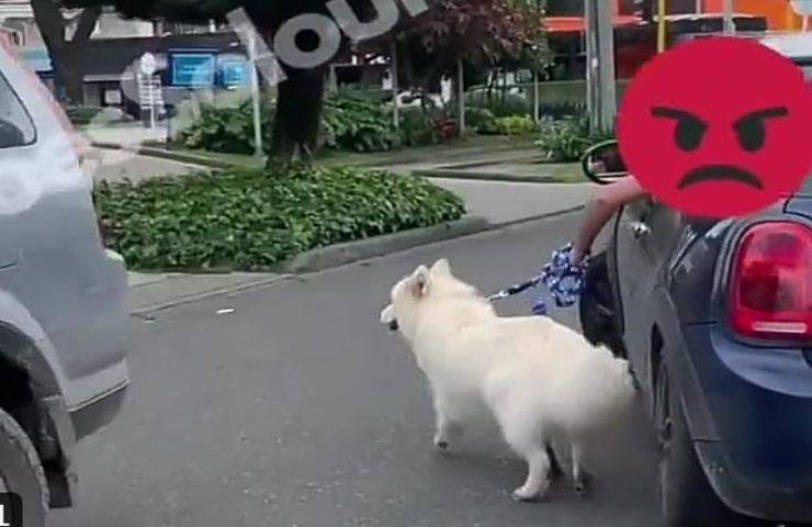 Un hombre saca a su perro por la ventanilla de su coche por el cuello