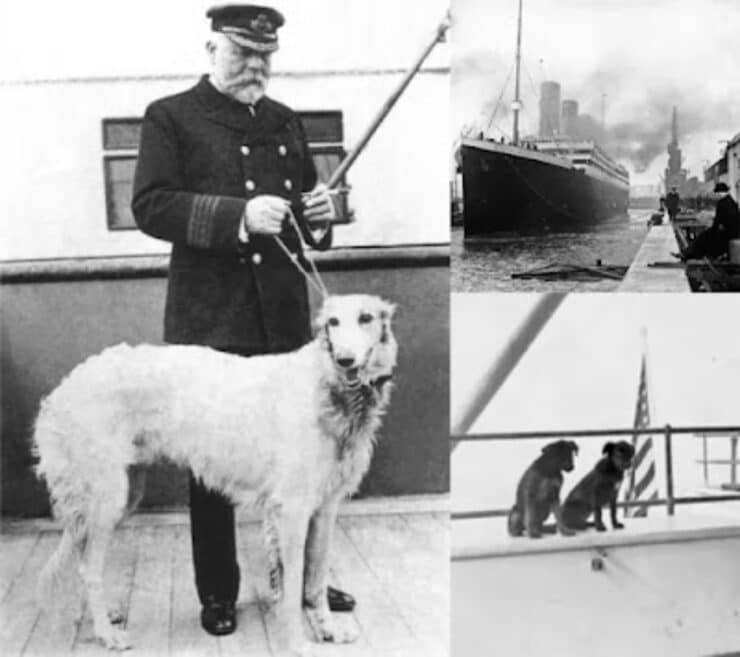 i cani del Titanic 