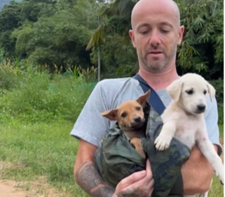 cuccioli abbandonati foresta salvati