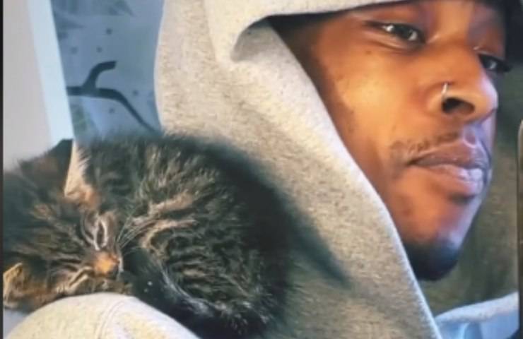 gattino trovato reazione ragazzo