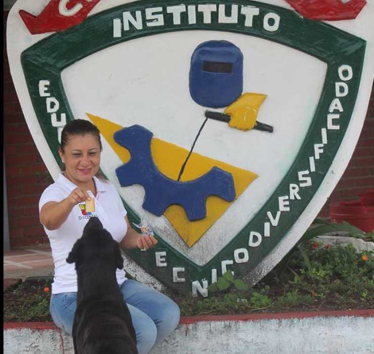 negro biscotto foglia paga