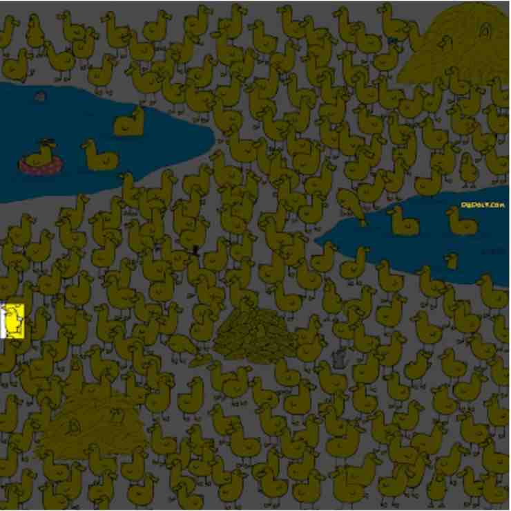 soluzione del test visivo trova il pulcino tra le anatre