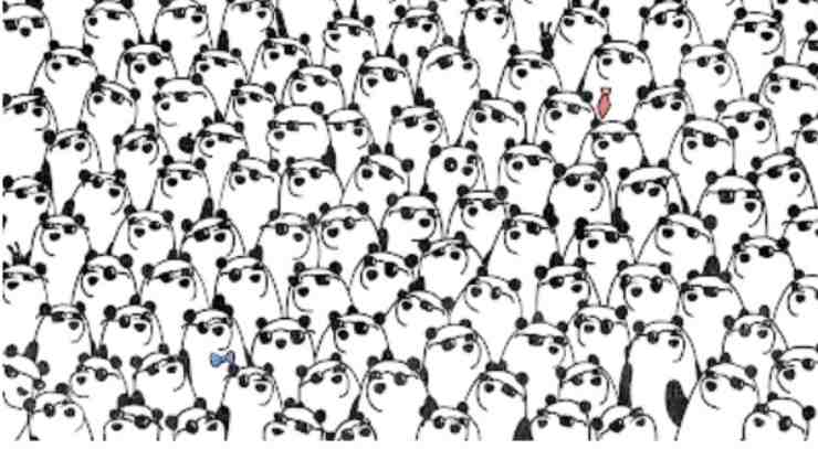 Test visivo dei panda 