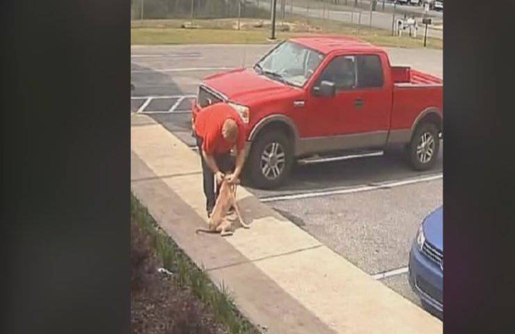 Abbandonato in un parcheggio da chi avrebbe dovuto amarlo