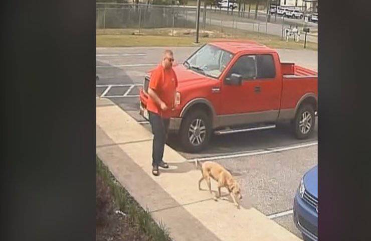 Abbandonato in un parcheggio da chi avrebbe dovuto amarlo