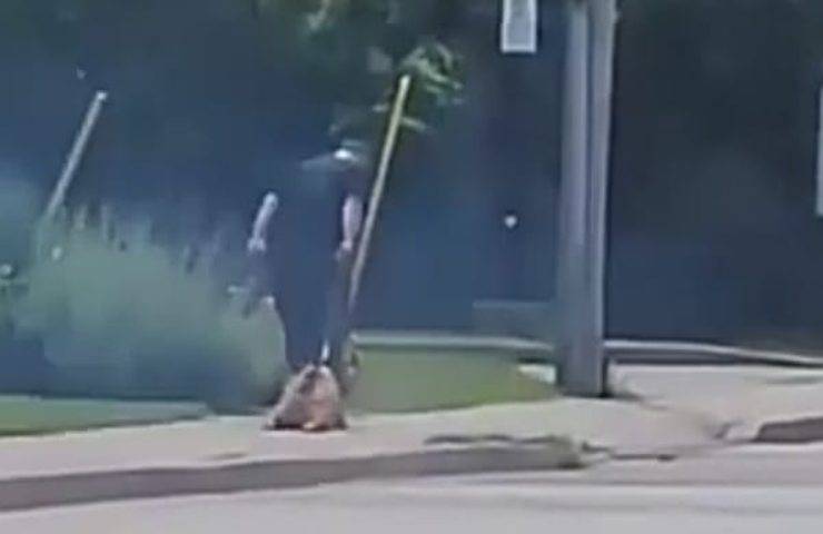 Trascina il cane in strada prendendolo a calci e pugni perchè non voleva camminare