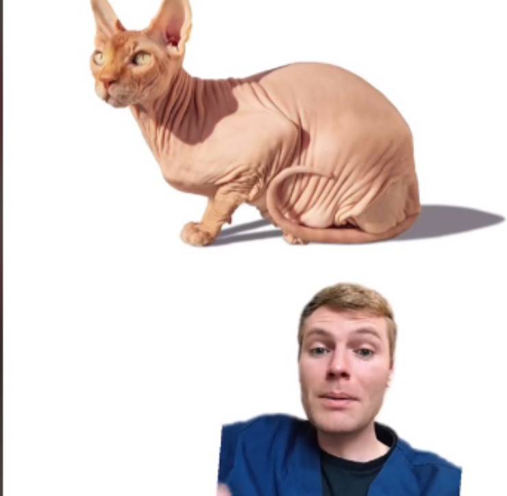 non adottare polemica video