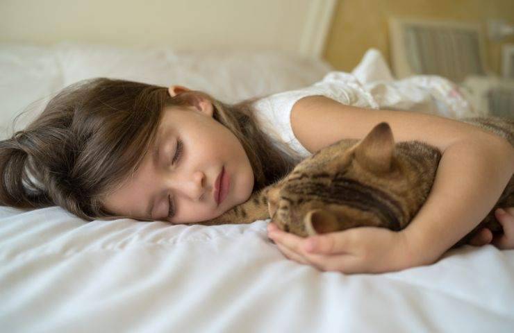 Bambina dorme con il gatto