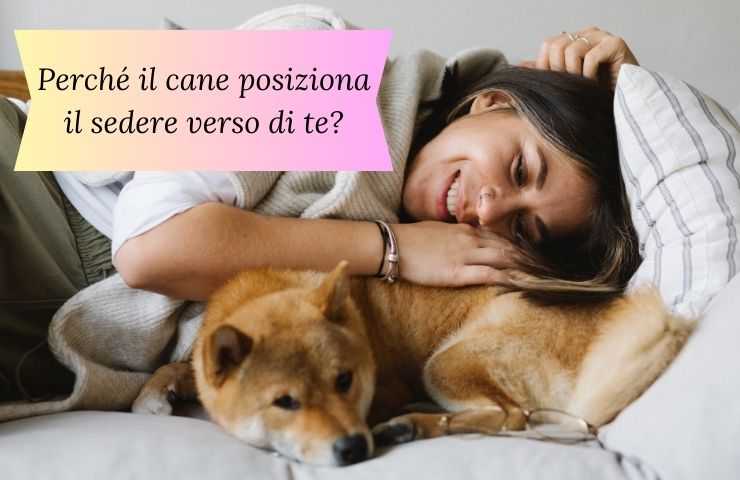 Cane con sedere verso donna