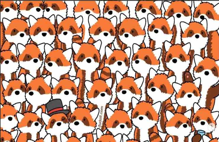 Trova gli intrusi nascosti tra i panda rossi 