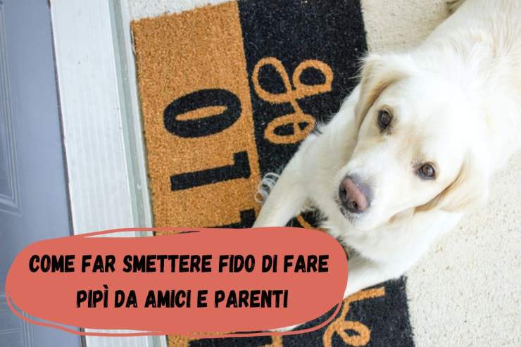 Fido fa pipì a casa di amici e parenti