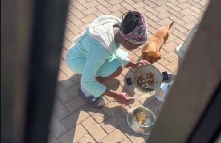 ragazza mangia cibo prima di darlo cane