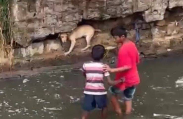 Bambini si gettano nell'acqua per salvare il cagnolino