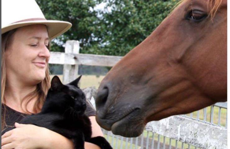 cavallo gatto amicizia incredibile