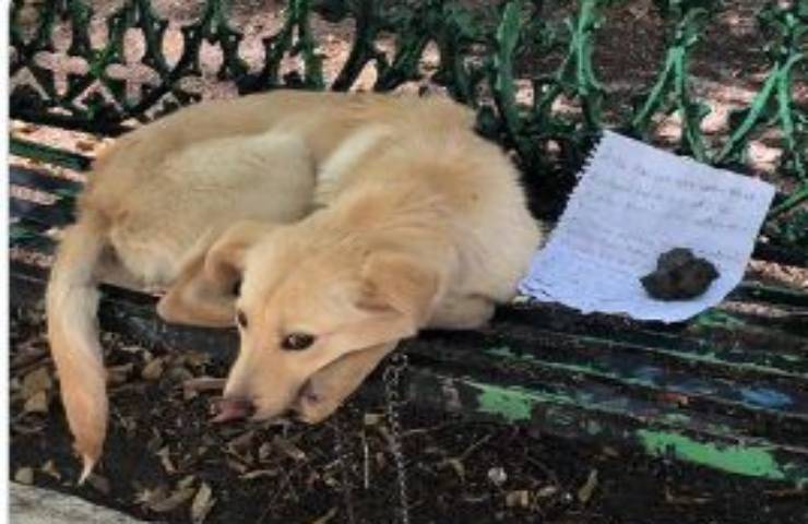 Abbandonato per salvargli la vita