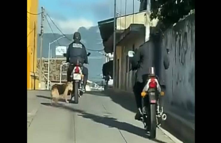 L'agente della polizia municipale trascina un cane