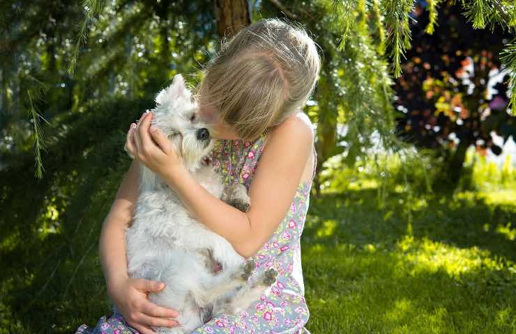 cane studenti salvano cagnolino 