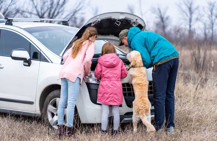 Cane con umani vicino l'auto