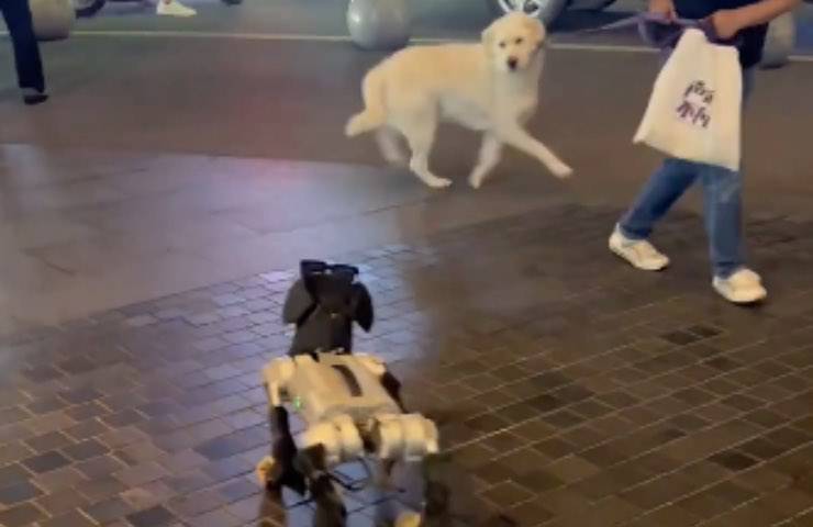 labrador robotico esemplare controllo 