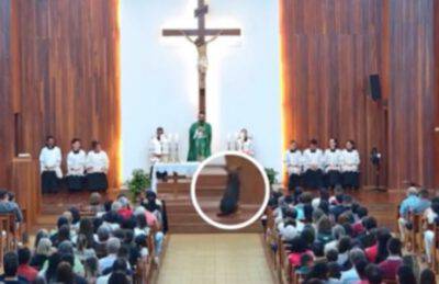 cane chiesta rimprovero prete