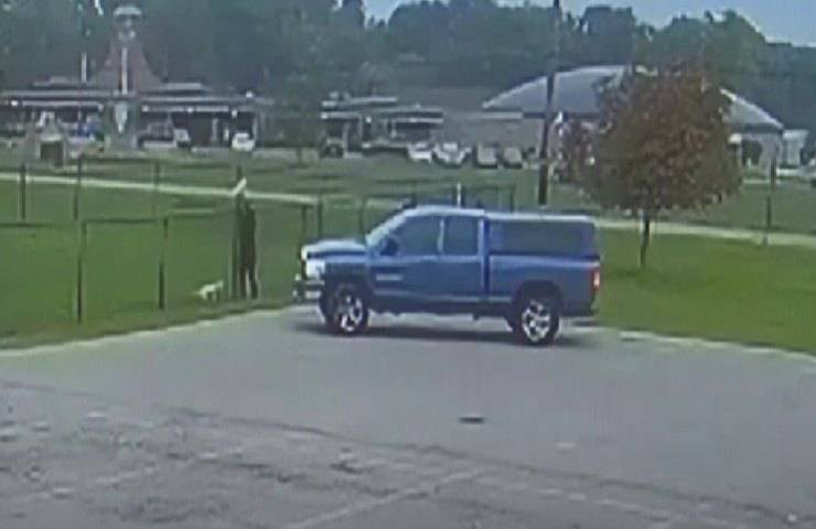 Lancia due cuccioli in fin di vita oltre il recinto