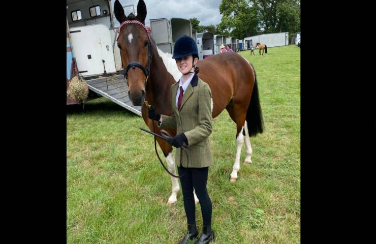 Cavallo abbandonato sul marciapiede in fin di vita