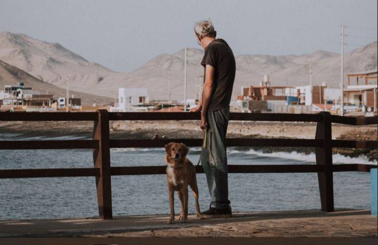 sopprimono un cane sano, poi la triste scoperta