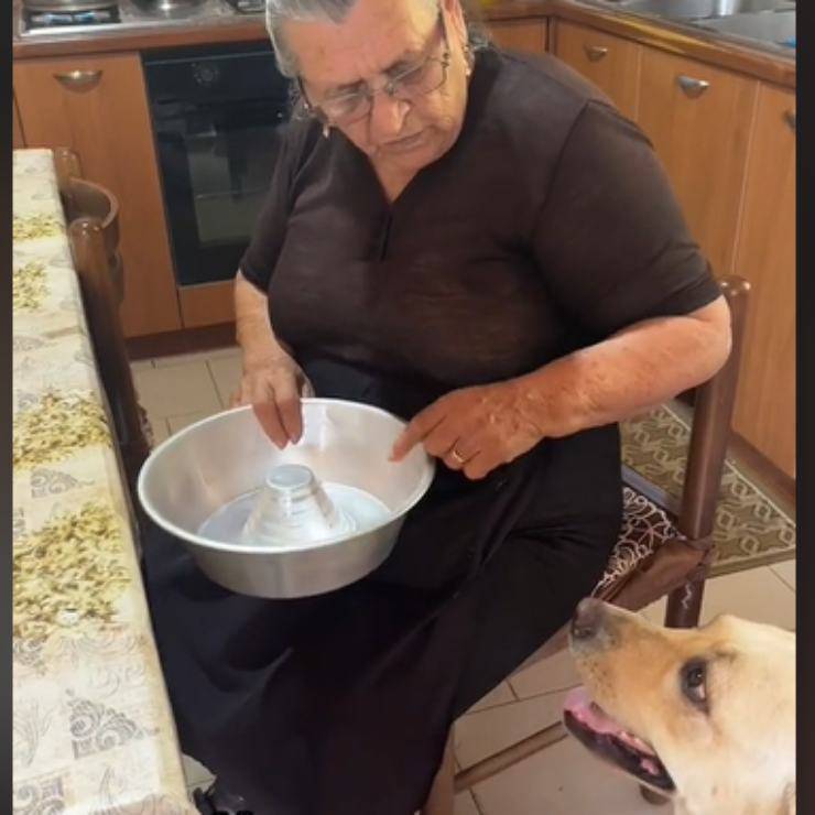 cagnolina nonna vita campagna