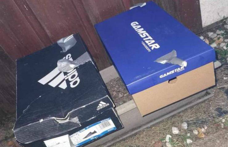 ritrovamento gattini ,gettati via come spazzatura