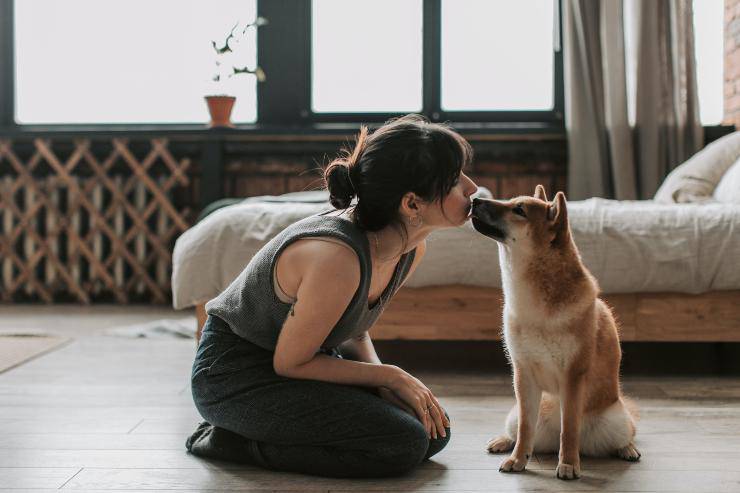 Fido si affeziona agli umani