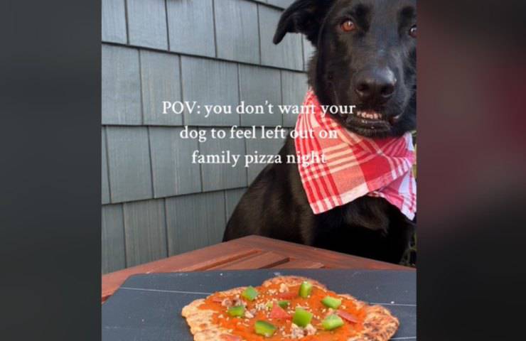 cane pizza felicità famiglia