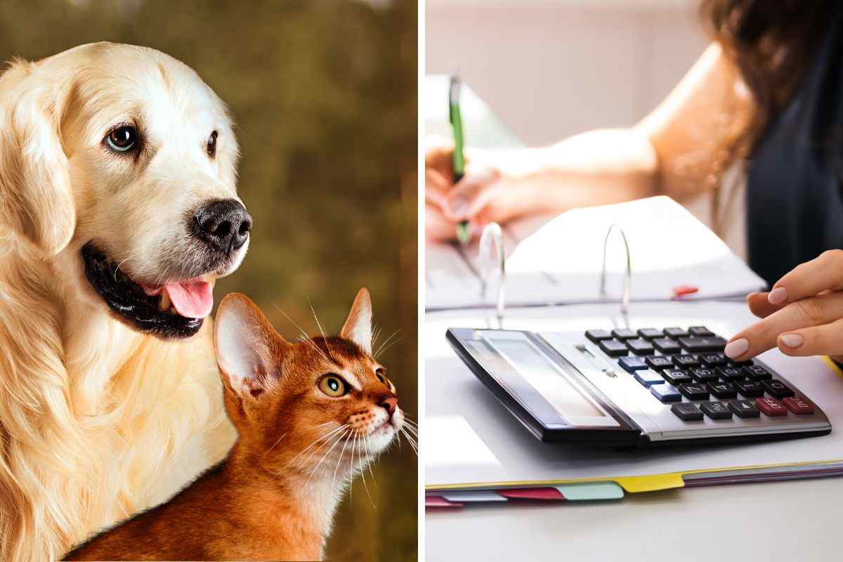 Aumentano le spese per cani e gatti