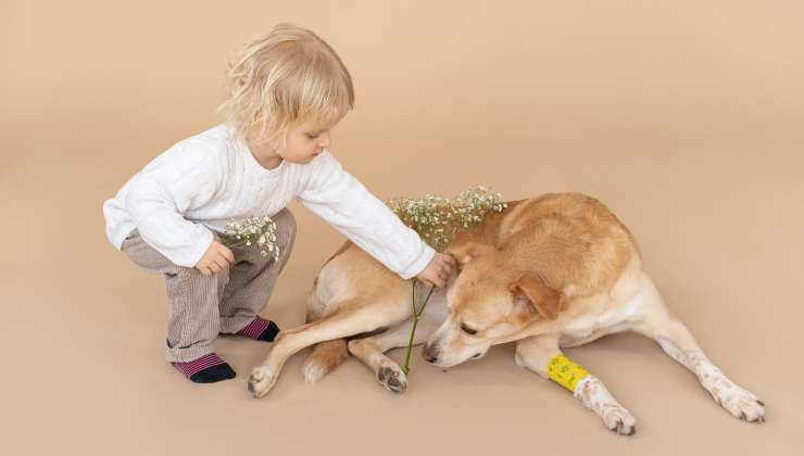 Bimbo insieme al cane