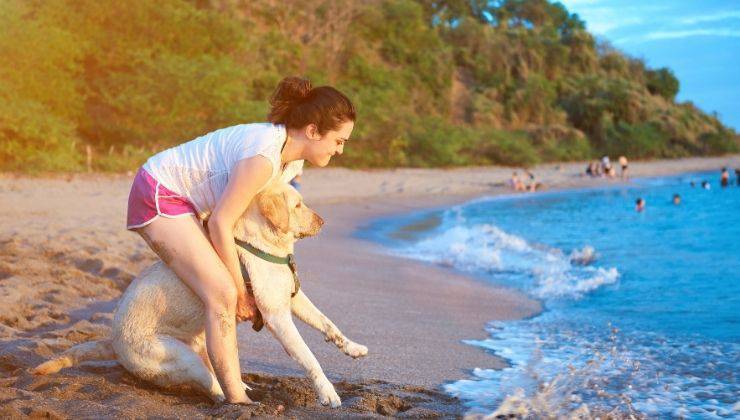 Cane ha paura del mare