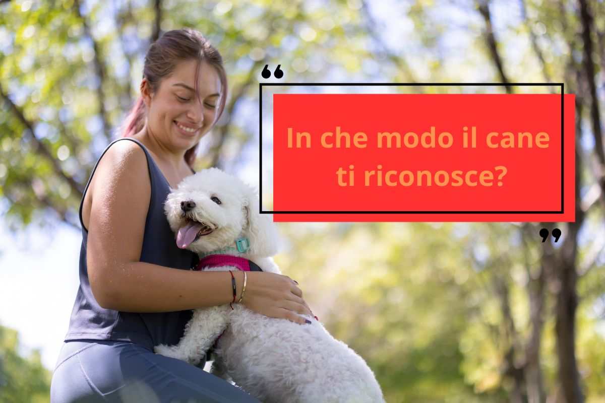 Il cane ti riconosce