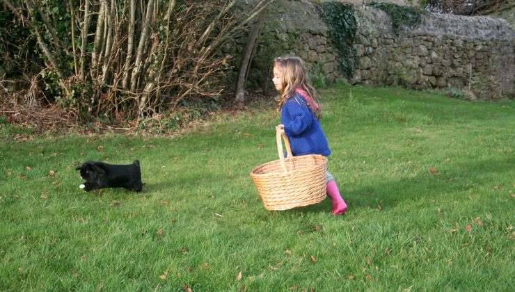 Coniglio scappa dalla bambina