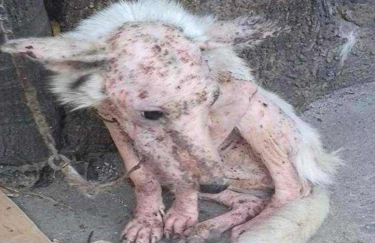 Escursionisti trovano una scatola sigillata