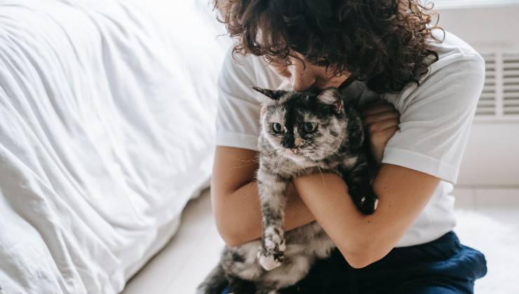 Donna abbraccia gatto 