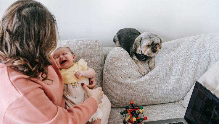 Donna con bimba e cane distante