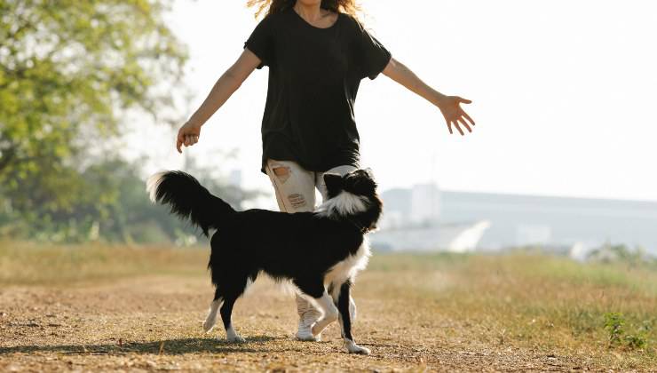 Donna con il cane 