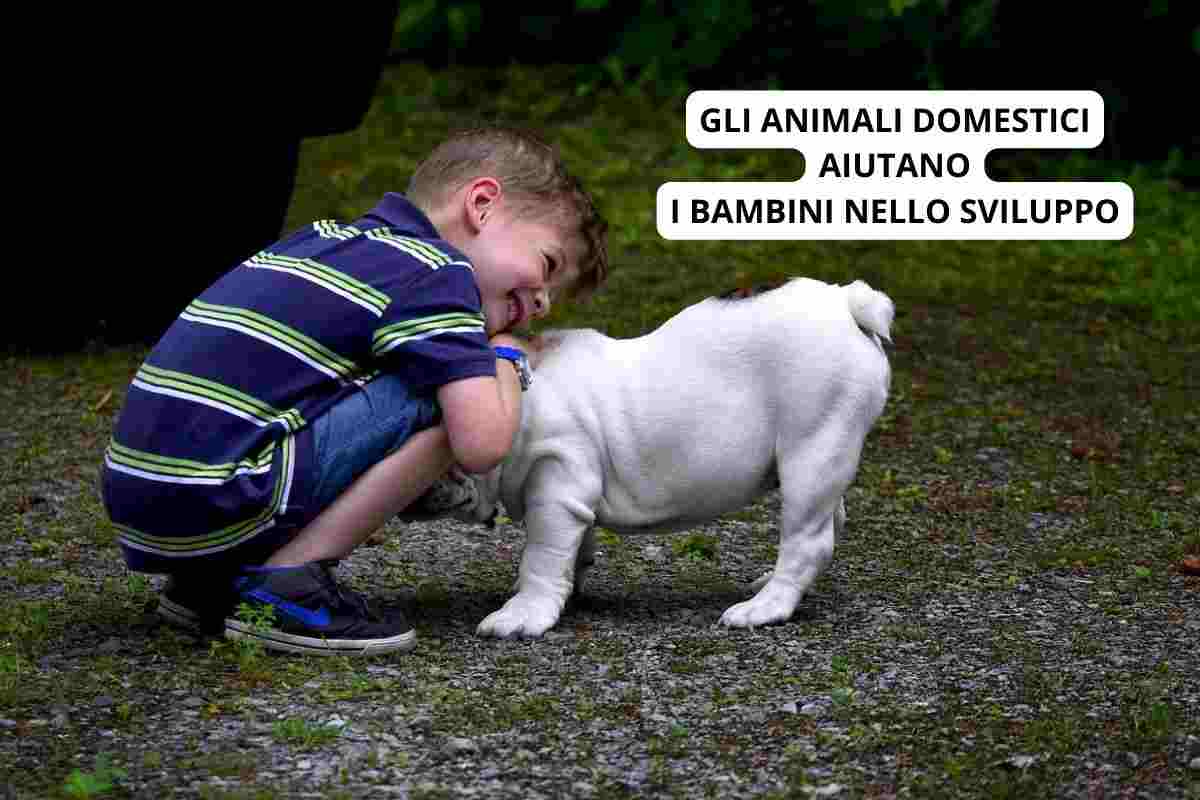 animali domestici bambini