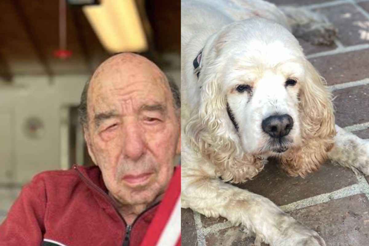 cane Hailey nonno addio