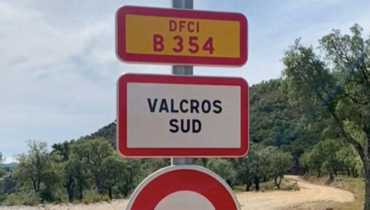 cane scava scatola ferro 