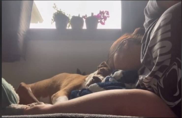 Un'addio commovente ma inevitabile