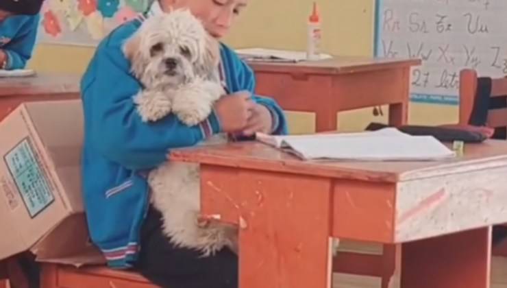 chi può portare il cane a scuola