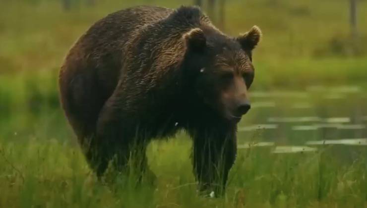 mamma preoccupata interagisce umano 